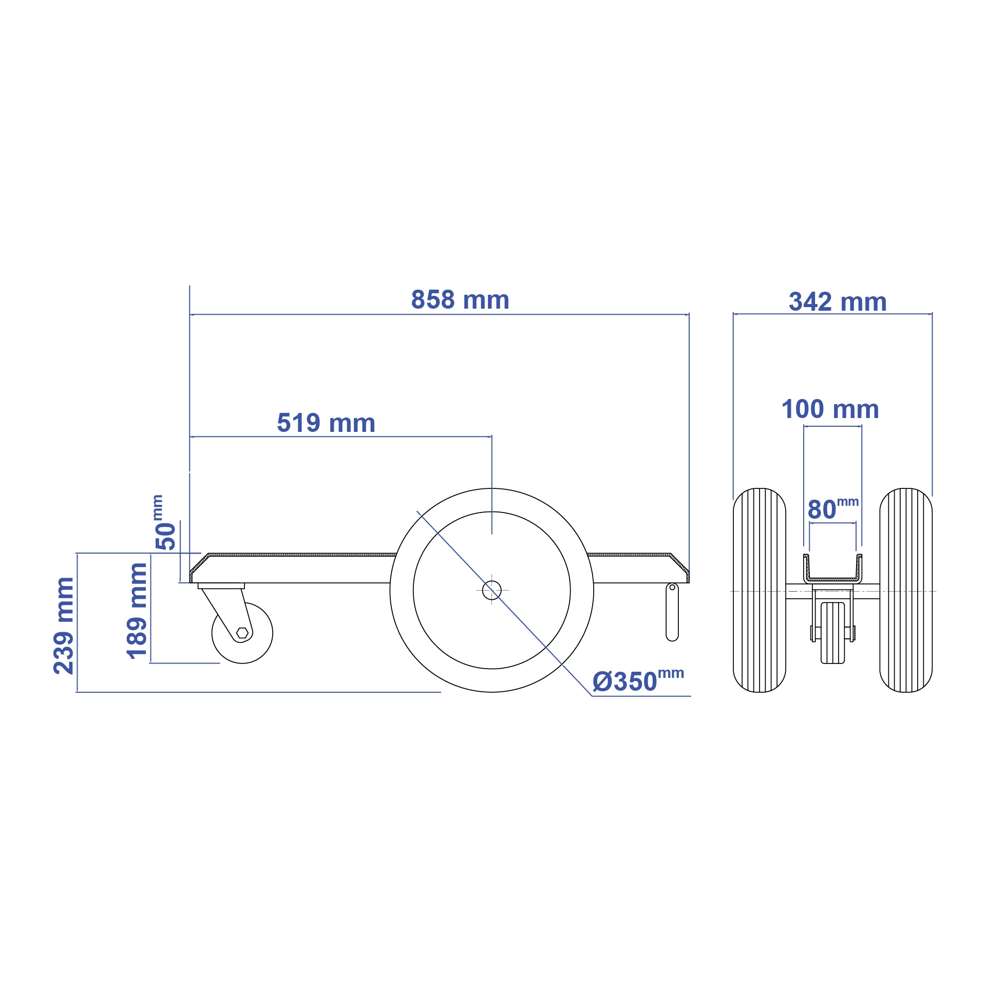 ALM01-MM.webp